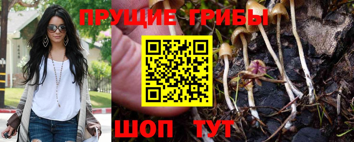 Галлюциногенные грибы GOLDEN TEACHER Балашов