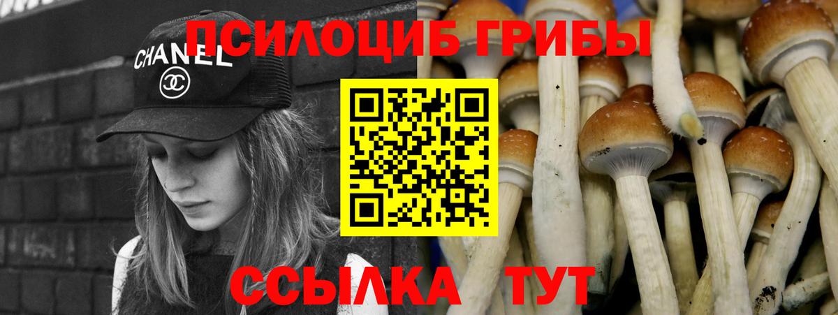 Балашов  Псилоцибиновые грибы мицелий  Вход с VPN  Галлюциногенные грибы мухоморы 